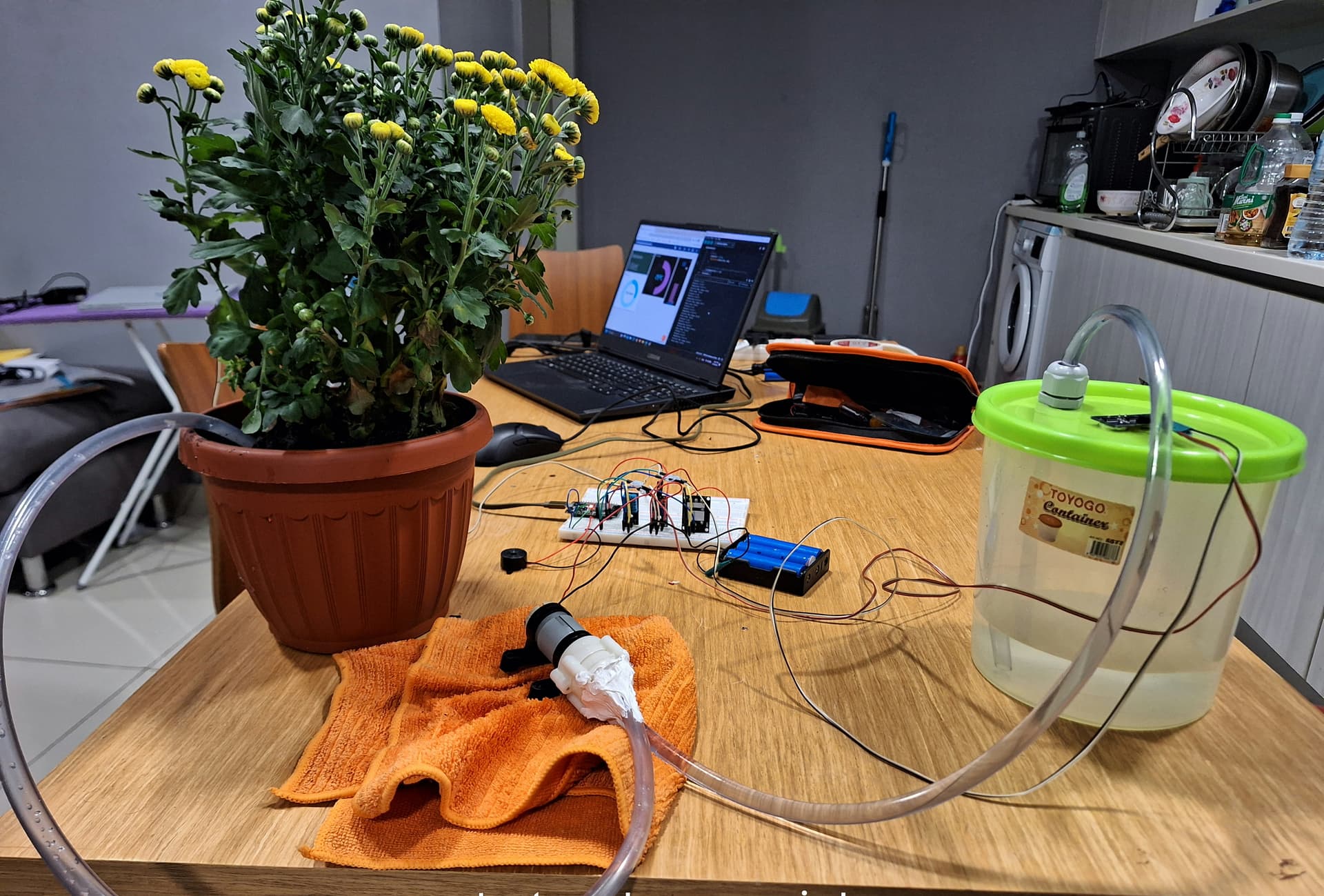 RainRoot IoT Watering System